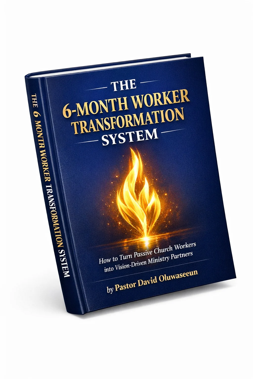 The 6-Month Worker Transformation System by David Oluwaseun